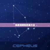 兔属相婚配的表大全，属相婚配表之属兔的和什么属相相配