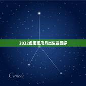 2022虎宝宝几月出生命最好，2022年几月出生的宝宝最好命