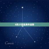 5月27日生肖牛运势，2009年属牛运程 佩带什么样的吉祥物好？