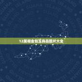 12属相金包玉真品图片大全，十二生肖玉石摆件图片这是真是真的古董妈
