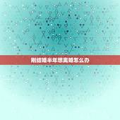 刚结婚半年想离婚怎么办，刚结婚不到半年想离婚对方不愿意怎样才能离婚