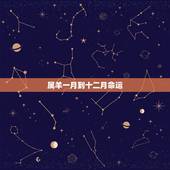 属羊一月到十二月命运，属羊十二月出生的命运