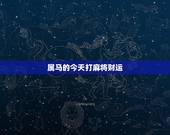 属马的今天打麻将财运，我今天想去玩麻将，我是66年生属马的女，坐在什么
