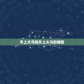 天上火马和天上火马的婚配，1978年属马和1979年属羊，都是天上火命