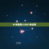87年属兔人2021年运势，1987年2月23日出生的人今年运势如何