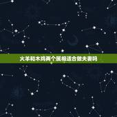 火羊和木鸡两个属相适合做夫妻吗，属蛇和属鸡是不是一对好夫妻