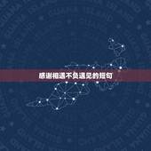 感谢相遇不负遇见的短句，有幸相遇，不负遇见的句子爱情