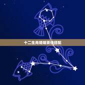 十二生肖婚姻更佳搭配，十二生肖婚姻更佳搭配2023
