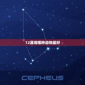 12属相哪种动物最好，12生肖中哪种属相最吉祥