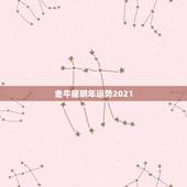 金牛座明年运势2021，金牛座2021年感情运势塔罗牌