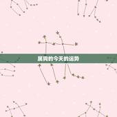 属狗的今天的运势，82年属狗今天的运气