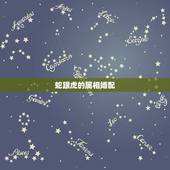 蛇跟虎的属相婚配，属虎的和属蛇的相配吗？