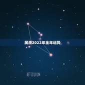 属虎2022年全年运势，2021年属虎人的每月运势运程