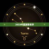 2022牛宝宝取名字，2022 年牛宝宝取什么名字好