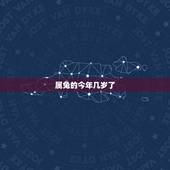 属兔的今年几岁了，属兔今年多少岁