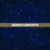 属鼠的和什么属相合适不明.com.cn，属鼠和什么属相不配