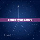 小男孩英文名字哪些简单又好听，男孩子英文名简单好听