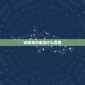纳音海中金是什么意思，五行解释一海中金