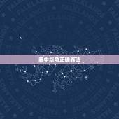 养中华龟正确养法，中华龟的饲养方法？