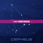 2021年属牛桃花运，2021年桃花运最旺的生肖有谁？