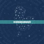 羊和狗相配婚姻如何，羊和狗在一起财运好吗