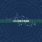 2022年各干支运势