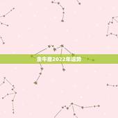金牛座2022年运势，2022金牛座运势如何