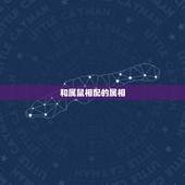 和属鼠相配的属相，属鼠和什么属相合