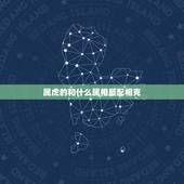 属虎的和什么属相最配相克，属虎猪什么属相最配、相克