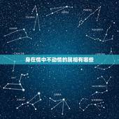 身在情中不动情的属相有哪些，痴心难改，深情倾诉，被旧爱感动，余生恩恩爱