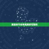 属鼠的今年有离婚的可能吗，属鼠女出轨后