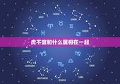 虎不宜和什么属相在一起，属虎的不能和什么属相在一起做生意