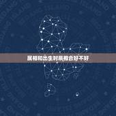 属相和出生时辰相合好不好，生肖时辰冲属怎么化解
