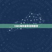 1985海中金命吉祥数字，属牛1985终身幸运数字