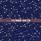 1977年属蛇一生有二婚，1977年属蛇一生有二婚