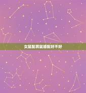 女鼠配男鼠婚配好不好，男属狗和女属鼠相配婚姻如何