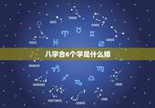 八字合6个字是什么婚，我今天去合八字合了六个字好吗？