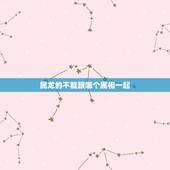 属龙的不能跟哪个属相一起，属龙和哪些属相相克