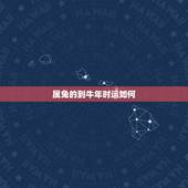 属兔的到牛年时运如何，1975属兔2022 年每月