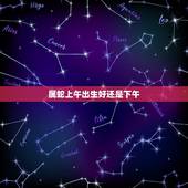 属蛇上午出生好还是下午，2013年属蛇的男孩几点出生好