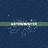 属相合婚准还是八字合婚准，八字合婚准吗