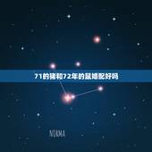 71的猪和72年的鼠婚配好吗，我72年的鼠，老公71年的猪，相配吗？