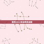 数鸡2022年运势及运程，1981年属鸡2021年运势及运程