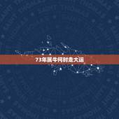73年属牛何时走大运，2023年73属牛运势怎么样？2019我在事业上