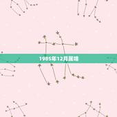 1985年12月属啥 1985年6月五行属什么