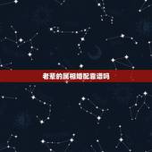 老辈的属相婚配靠谱吗，生肖配对可信吗？