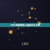 1987年属兔的人适合什么工作，1987年属兔人的命运与财运