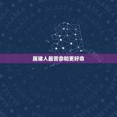 属猪人最苦命和更好命，属猪人的更佳婚配