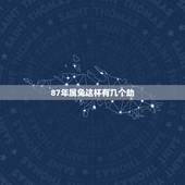 87年属兔这杯有几个劫，属兔人的劫数87的女四月