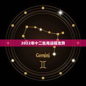 2022年十二生肖运程走势，2022生肖全年运势大全